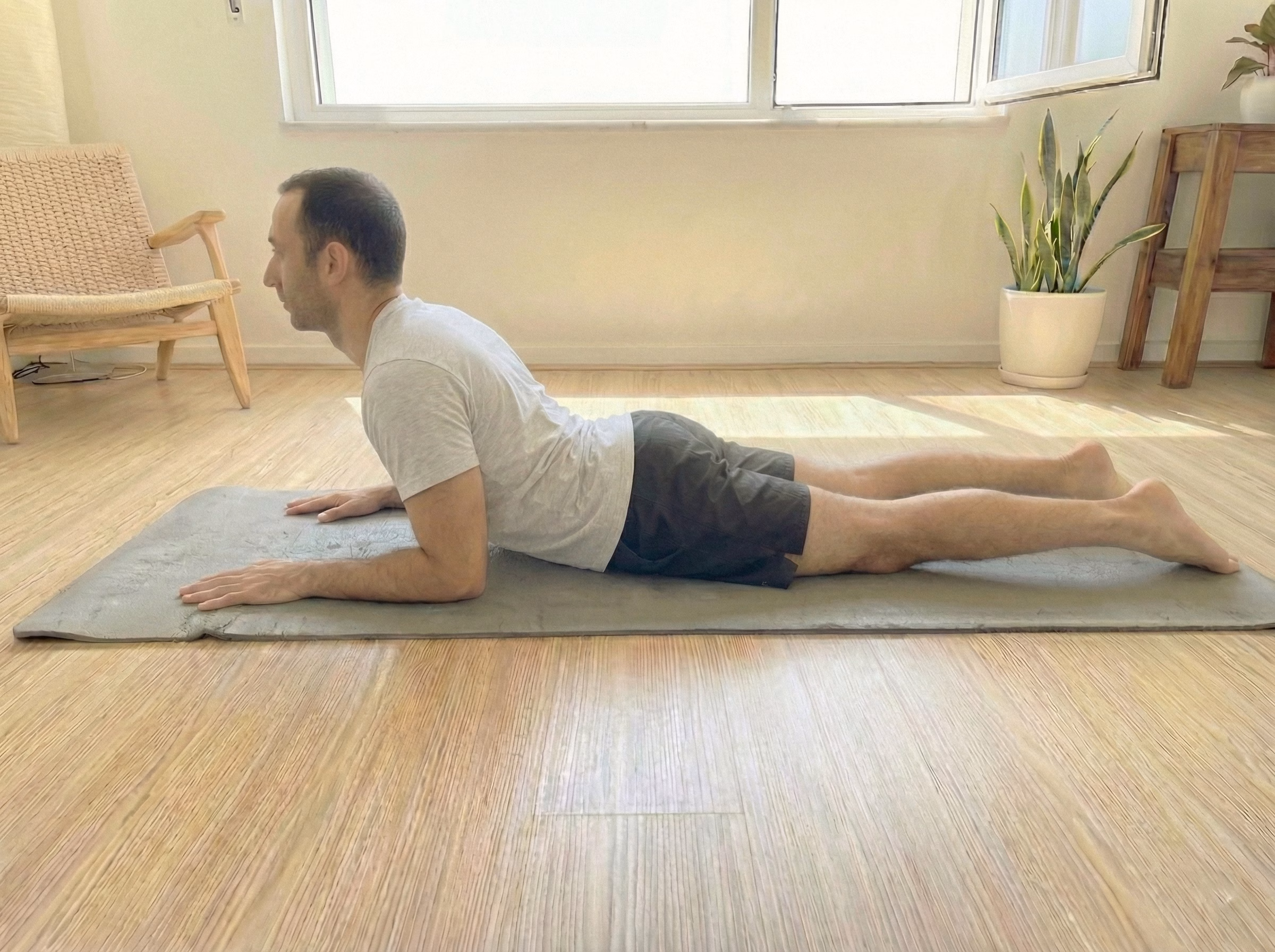 Supported Low Cobra (Sphinx) variation side view