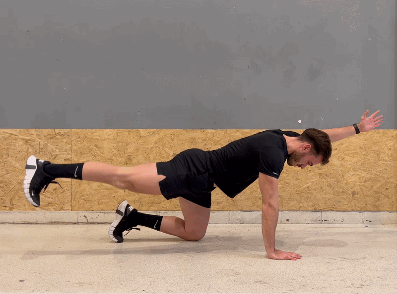 Person demonstrating the bird dog exercise