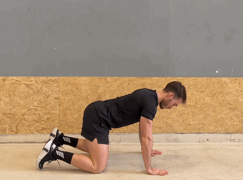 Hero image – Cat–Cow spinal mobility on all fours